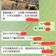 网友投稿称波贝新城多园区遭炮击波及：部分园区一度放人外逃 场面混乱