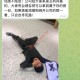 群友投稿：说不定河里下一具浮尸就是你了