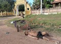 柬埔寨奥斯玛口岸附近发现无名男尸 当地称死前疑遭持棍追打