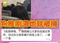 柬埔寨飞深圳航班落地即抓捕？网友目击：执法人员登机点名带走一名中国男子