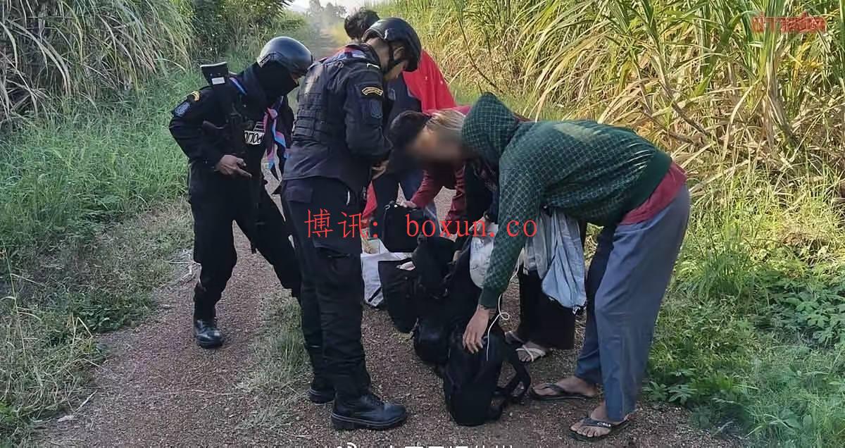 泰国“猪仔”被柬埔寨诈骗团伙抛弃 徒步越境返国遭捕