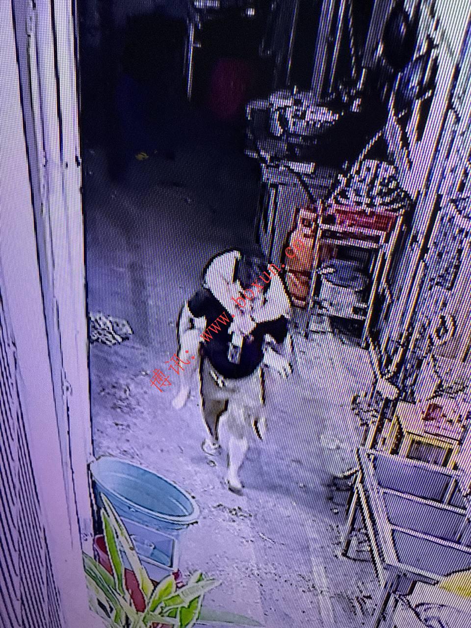 网友投稿 ：辛勇