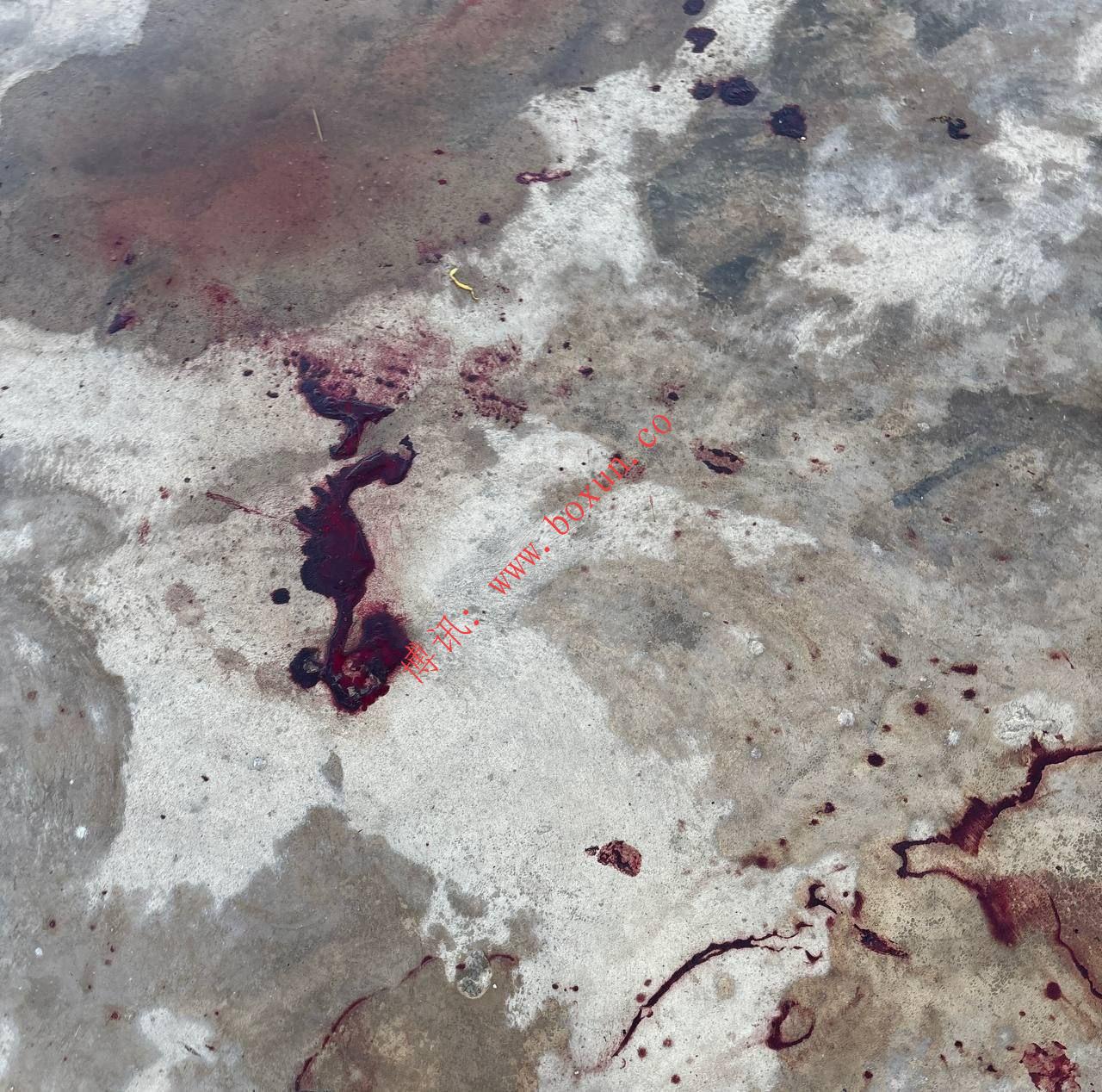 群友投稿 妙瓦迪和平新村 W度假村，现在还在苦苦支撑