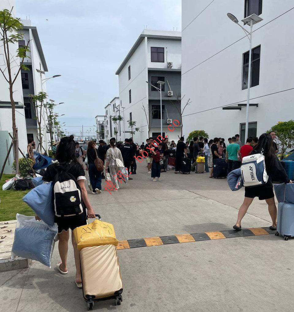 网友反馈：目前还是财通稳 键盘敲的冒烟