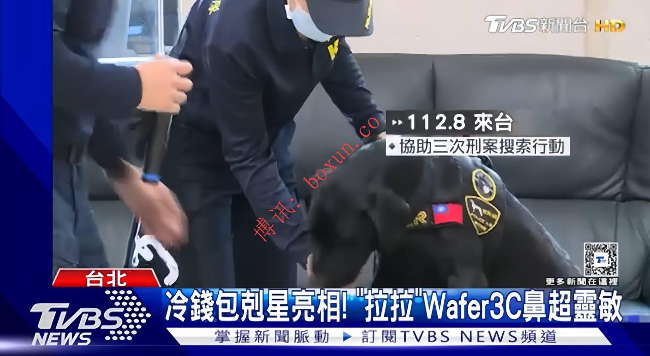 美国赠台电子侦测犬“Wafer”投入实战　协助侦破网赌、洗钱、人口贩运及毒品等重大案件