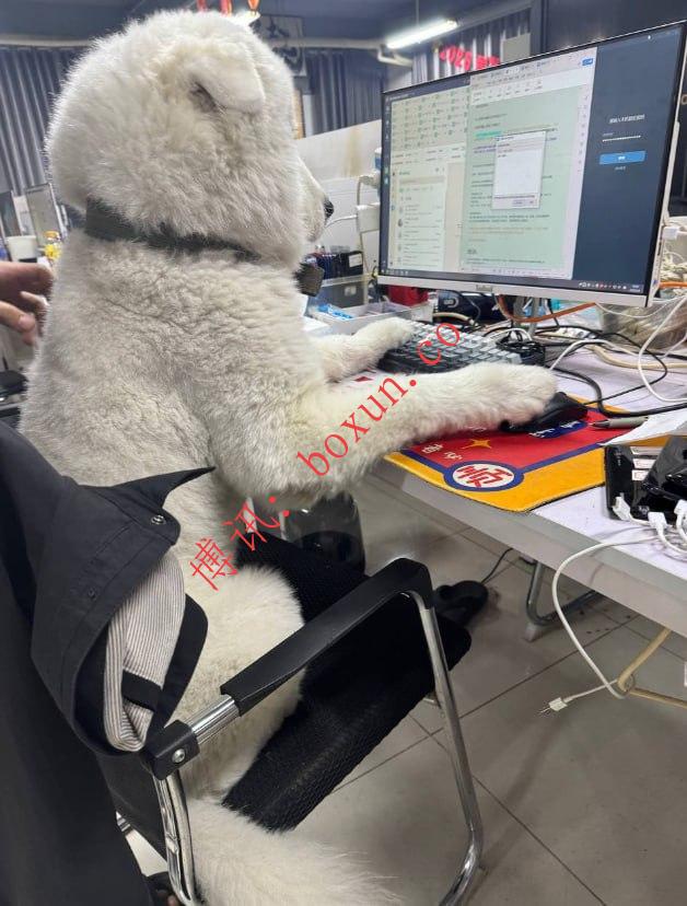 #网友反馈：最近财通进来了好多人