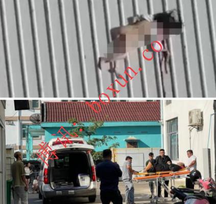 ScreenShot_2025-12-20_233316_022.png ScreenShot_2025-12-20_233316_022.png