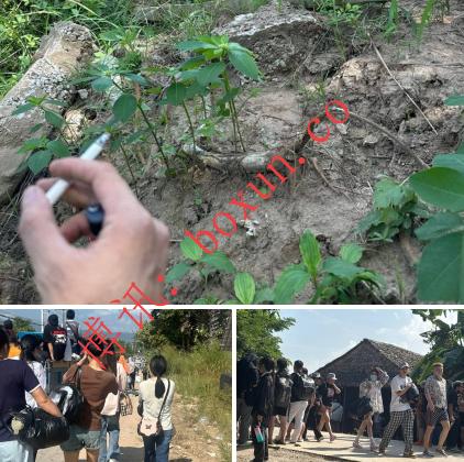 群友投稿｜战机轰鸣下的逃亡路：从妙瓦底到波贝，在炮声中继续奔命