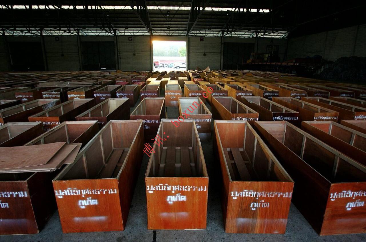 柬媒回顾2004年印度洋海啸并警示区域地震风险　呼吁重视防灾而非渲染对立