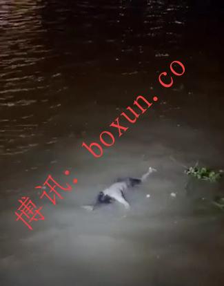 网友反映金边今晚发现一具浮尸 警方已介入调查