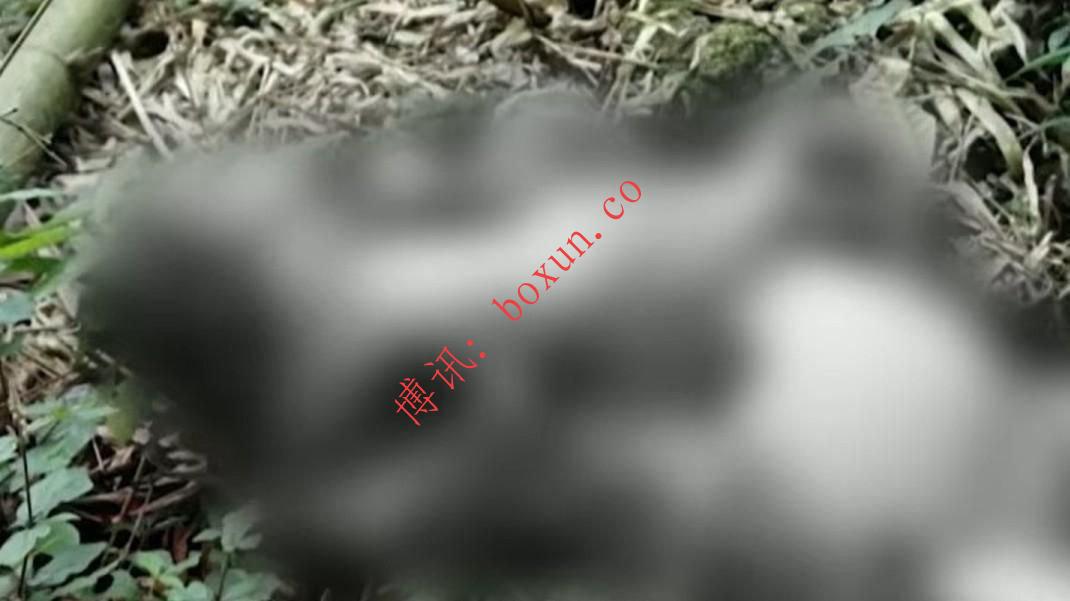 菲律宾大雅台发生骇人命案 26岁汽车交易员夜间交易遇害 亲属被列为嫌疑人