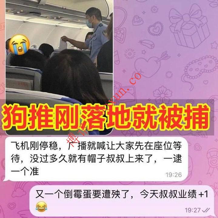 柬埔寨飞深圳航班落地即抓捕？网友目击：执法人员登机点名带走一名中国男子