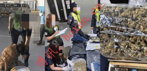 申报牛仔裤实藏大麻 菲律宾克拉克港截获百万比索毒品包裹