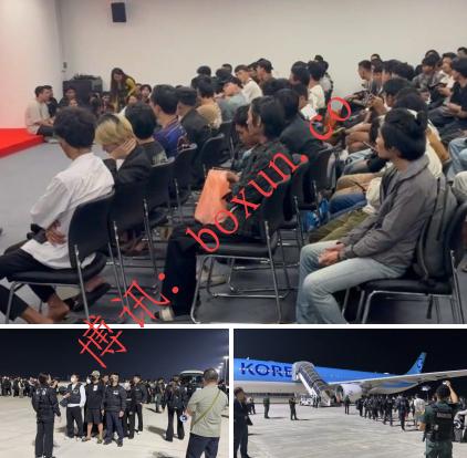 涉嫌网络诈骗，柬埔寨遣返73名韩国人、136名缅甸人