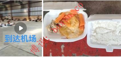 柬埔寨园区人员脱身后如何安置？约500名中国公民集中安置在金边旧机场