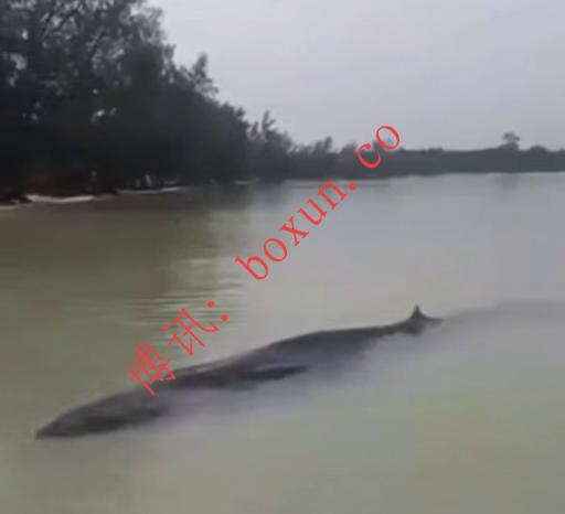 ScreenShot_2026-01-30_133240_345.png ScreenShot_2026-01-30_133240_345.png