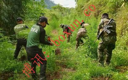 photo_2026-01-31_16-38-40.jpg photo_2026-01-31_16-38-40.jpg