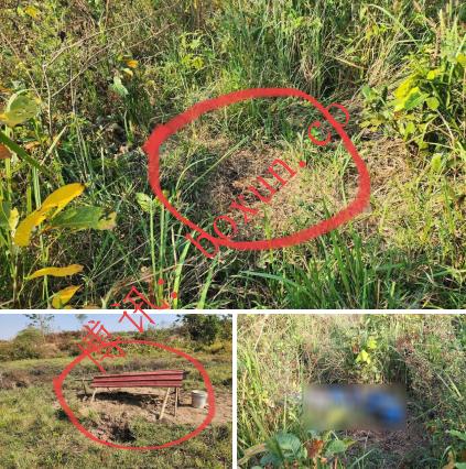 ScreenShot_2026-02-02_010047_276.png ScreenShot_2026-02-02_010047_276.png