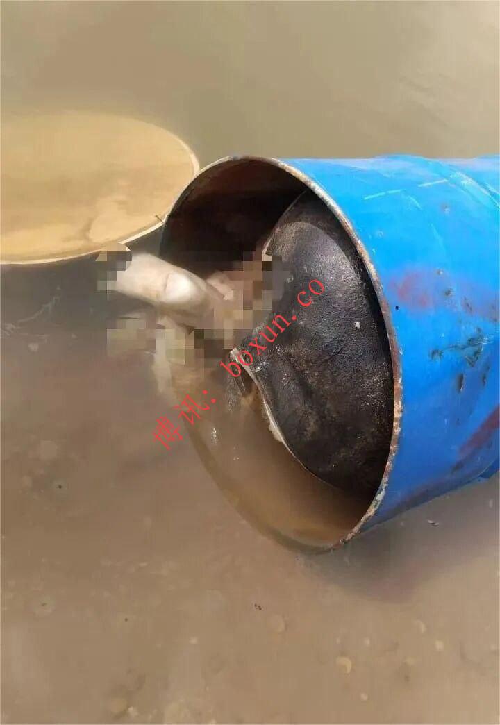 photo_2026-03-01_14-16-42.jpg photo_2026-03-01_14-16-42.jpg